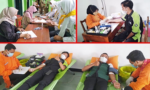 Donor Darah PMI